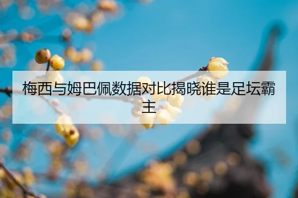 img_1788605074483_3_1_984.jpg